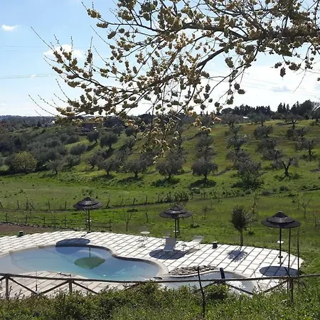 angolo di paradiso Formello Esterno foto