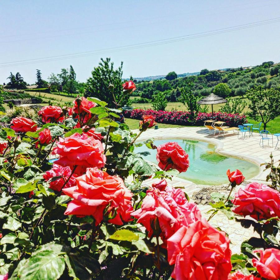 Angolo Di Paradiso Farm stay