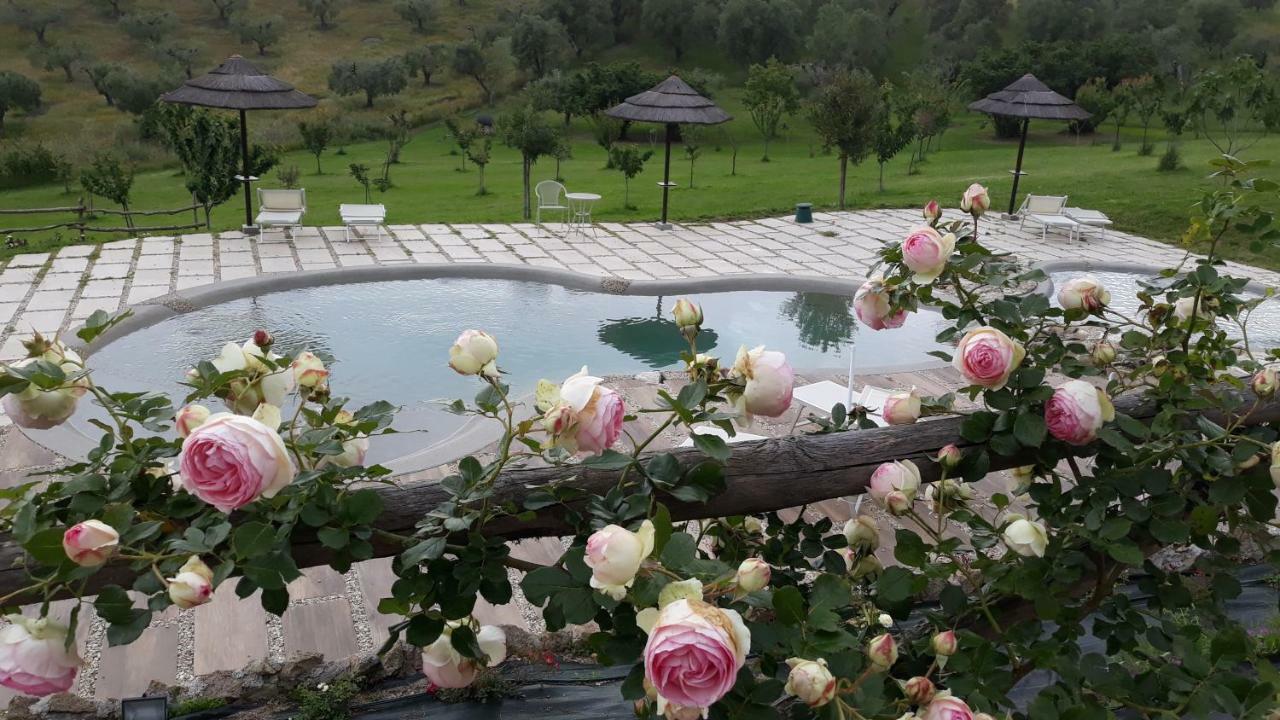 Farm stay Angolo Di Paradiso Formello